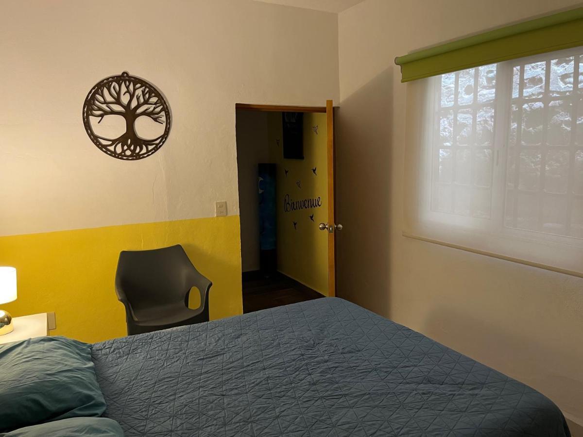 Villa Palmier -Quiet Cosy Air Conditioned Terrace Πουέρτο Βαγιάρτα Εξωτερικό φωτογραφία