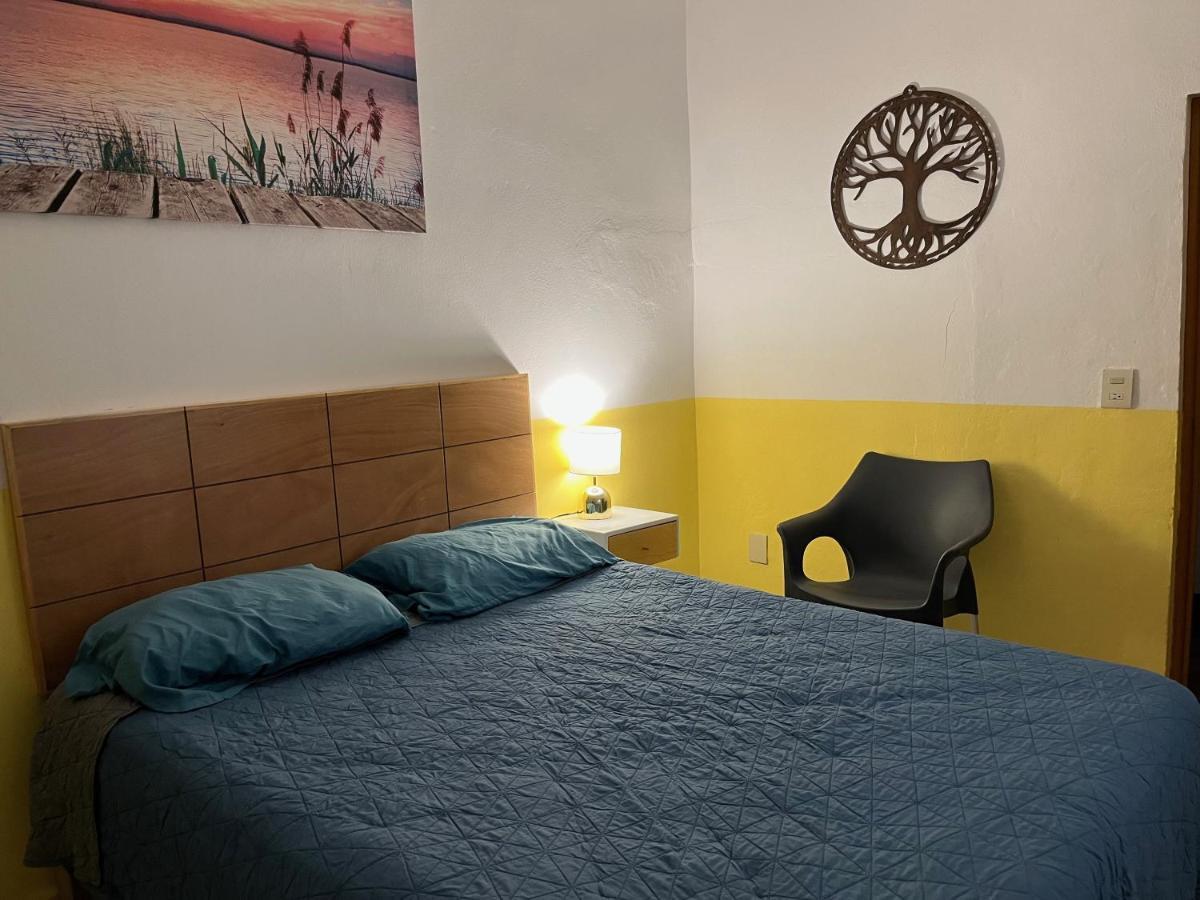 Villa Palmier -Quiet Cosy Air Conditioned Terrace Πουέρτο Βαγιάρτα Εξωτερικό φωτογραφία