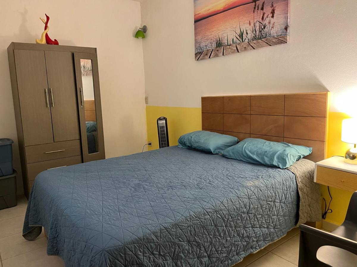Villa Palmier -Quiet Cosy Air Conditioned Terrace Πουέρτο Βαγιάρτα Εξωτερικό φωτογραφία