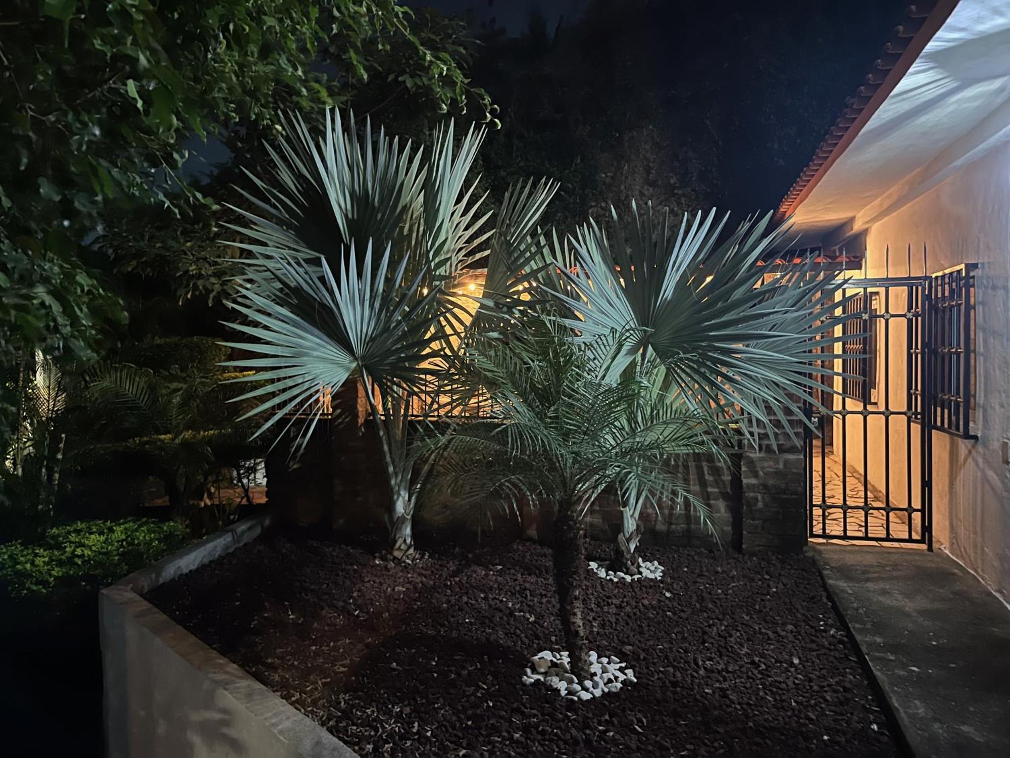 Villa Palmier -Quiet Cosy Air Conditioned Terrace Πουέρτο Βαγιάρτα Εξωτερικό φωτογραφία