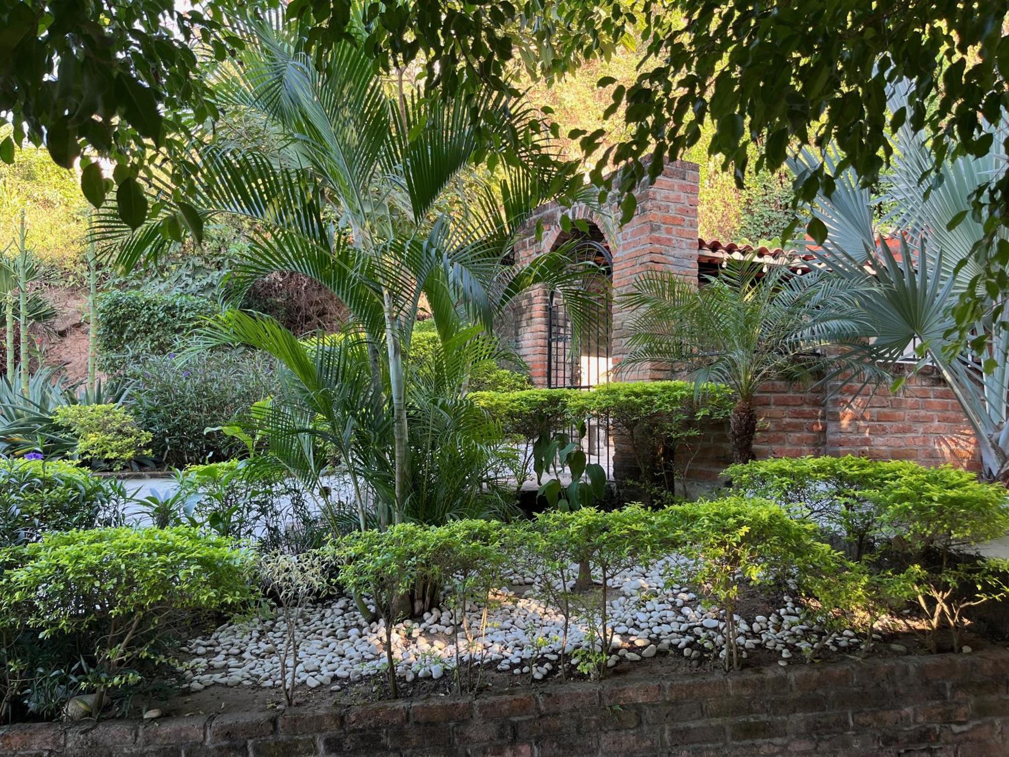 Villa Palmier -Quiet Cosy Air Conditioned Terrace Πουέρτο Βαγιάρτα Εξωτερικό φωτογραφία