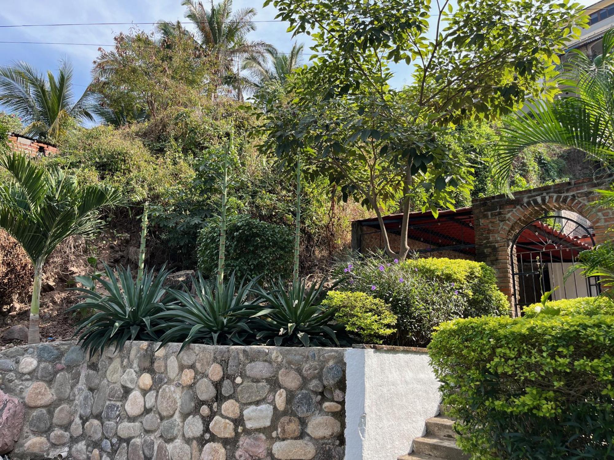 Villa Palmier -Quiet Cosy Air Conditioned Terrace Πουέρτο Βαγιάρτα Εξωτερικό φωτογραφία