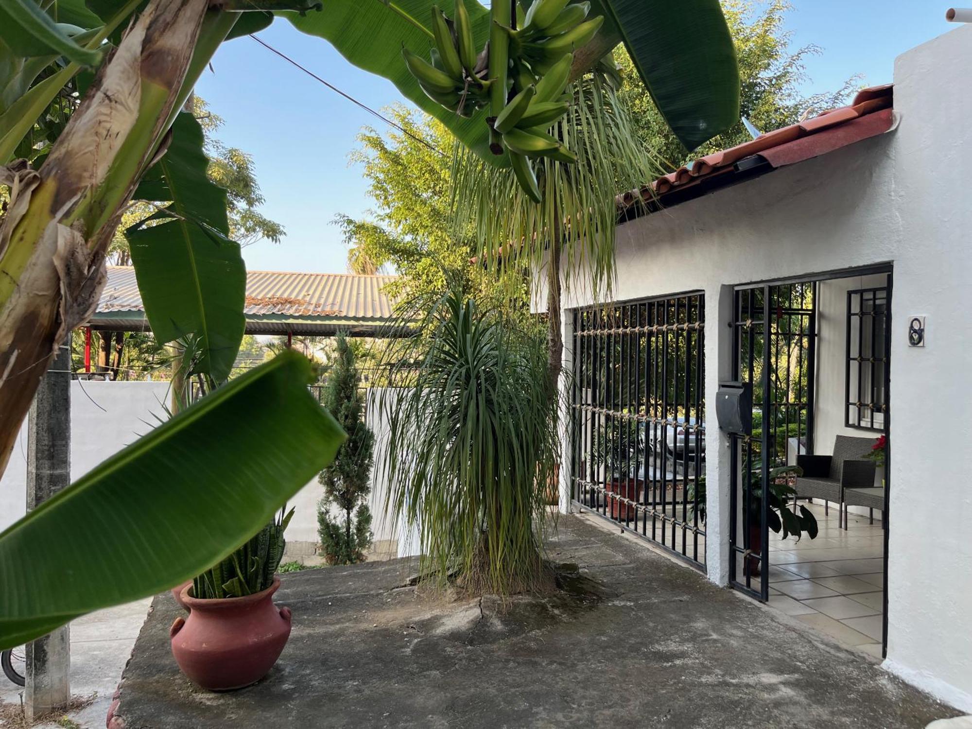 Villa Palmier -Quiet Cosy Air Conditioned Terrace Πουέρτο Βαγιάρτα Εξωτερικό φωτογραφία